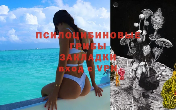 мяу мяу мука Киренск
