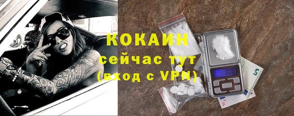 тгк Козельск