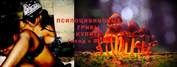 ешки Кодинск