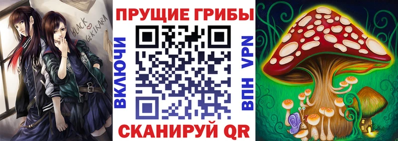 Купить где  Енисейск  Псилоцибиновые грибы MAGIC MUSHROOMS 